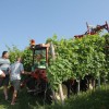 mahanizacija_28_000.jpg