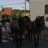 cesta036.jpg