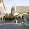 cesta043.jpg