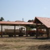 kozolci002.jpg
