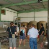 vinar_005.jpg
