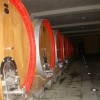 vinar_007.jpg