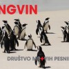 dmp_pingvin_novi_singel_3_1_.jpg