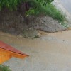 dscf3799_000.jpg
