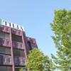 tilia_2011_bdg0106.jpg