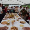 nov_most_cez_mirno_v_dolenjem_bostanju050.jpg
