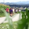 slika_274.jpg