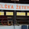 8__telska_zetev010.jpg