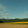 img_9877.jpg