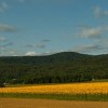 img_9871.jpg