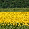 img_9878.jpg