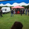 divje_buce_006.jpg
