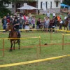 resize_of_dsc03639.jpg
