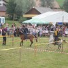 resize_of_dsc03635.jpg
