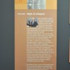 23_olimpiad_1319.jpg