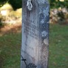 img_9763.jpg