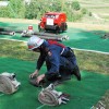 lokvica_023.jpg