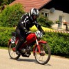malkovec_010.jpg