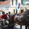 anin070.jpg