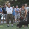 img_6249.jpg