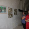 img_7757_000.jpg