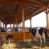 sejem043.jpg