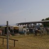 sejem085.jpg