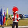 sejem066.jpg