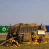 sejem001.jpg