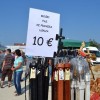 sejem0021.jpg