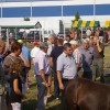 sejem051.jpg