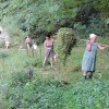 izvir_006.jpg