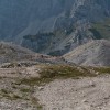 triglav_040.jpg