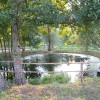 ucna022.jpg