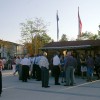 vinograd003.jpg