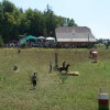 gombisce_016.jpg