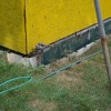 gric0011.jpg