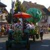 jernej001.jpg