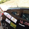 cvickova_princesa_tjasa_metelko_dobrodelno_prala_avtomobile_030.jpg