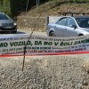 cvickova_princesa_tjasa_metelko_dobrodelno_prala_avtomobile_021.jpg