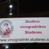 cvickova_princesa_tjasa_metelko_dobrodelno_prala_avtomobile_026.jpg