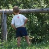 resize_of_dsc06255.jpg