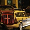 slika_022.jpg