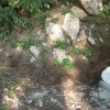 img_8113_000.jpg