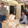 sejem_1024.jpg