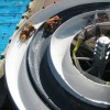 formula_040.jpg