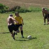 vranji_bal_013.jpg