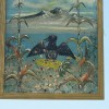 vranji_bal_017.jpg