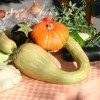 img_9284_000.jpg
