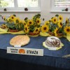 img_9084_000.jpg